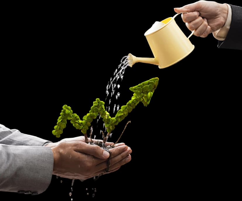 Discipline investing